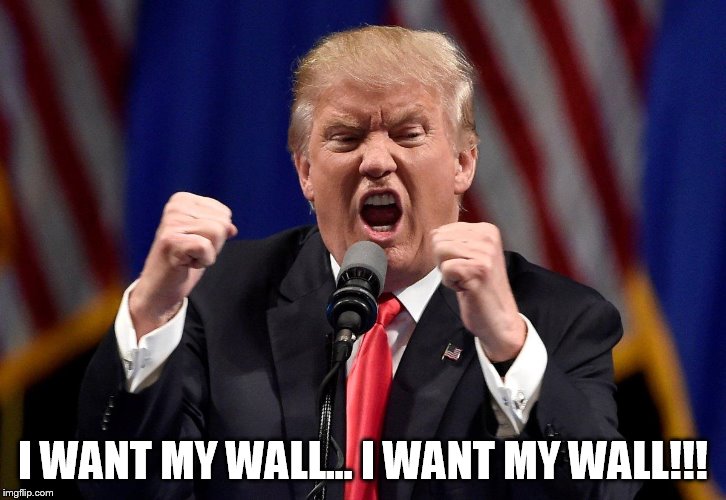 I want my wall... I want my wall!!! | I WANT MY WALL... I WANT MY WALL!!! | image tagged in trump tantrum | made w/ Imgflip meme maker