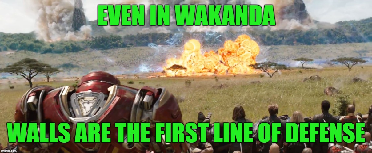 wakanda wall | EVEN IN WAKANDA WALLS ARE THE FIRST LINE OF DEFENSE | image tagged in wakanda wall | made w/ Imgflip meme maker