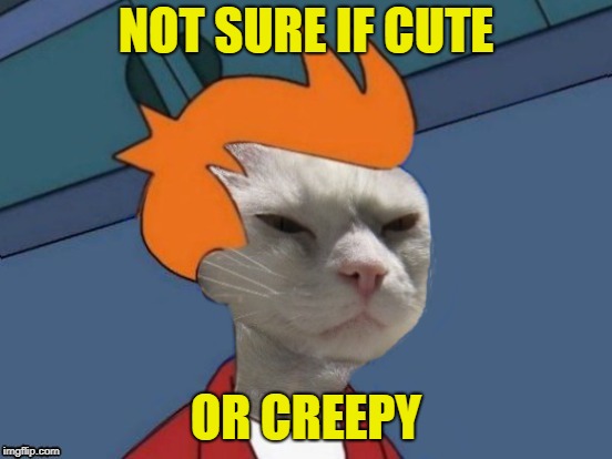 NOT SURE IF CUTE OR CREEPY | made w/ Imgflip meme maker