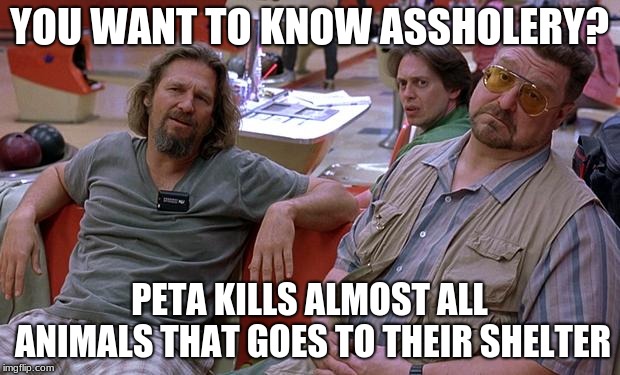You are not wrong you are just assholes | YOU WANT TO KNOW ASSHOLERY? PETA KILLS ALMOST ALL ANIMALS THAT GOES TO THEIR SHELTER | image tagged in you are not wrong you are just assholes | made w/ Imgflip meme maker