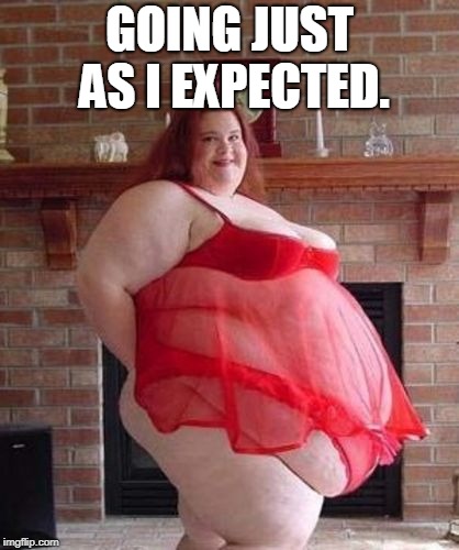 Obese Woman | GOING JUST AS I EXPECTED. | image tagged in obese woman | made w/ Imgflip meme maker