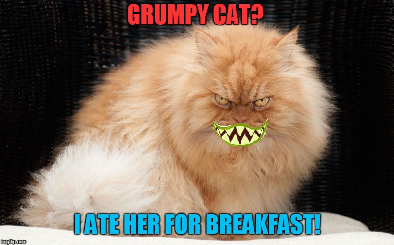 Maybe I posted this about 6 months ago? Maybe? Well, here it is again! | GRUMPY CAT? I ATE HER FOR BREAKFAST! | image tagged in angry cat smiling,nixieknox,memes | made w/ Imgflip meme maker