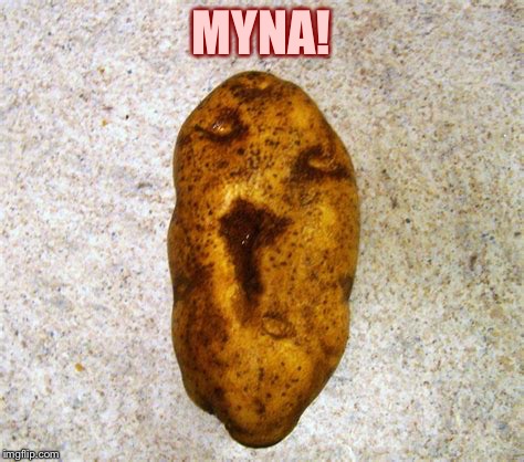 MYNA! | made w/ Imgflip meme maker