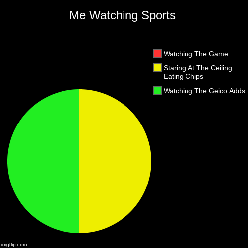 Me Watching Sports | Me Watching Sports | Watching The Geico Adds, Staring At The Ceiling Eating Chips, Watching The Game | image tagged in funny,pie charts | made w/ Imgflip chart maker