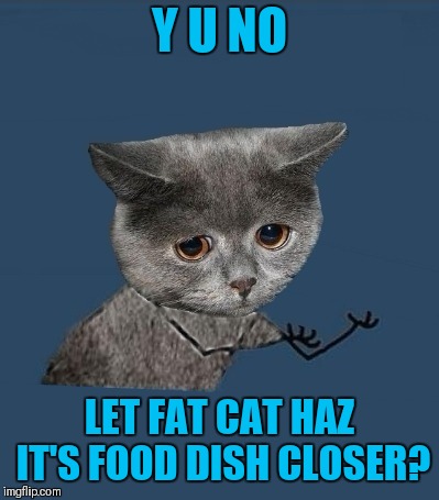 Y U NO LET FAT CAT HAZ IT'S FOOD DISH CLOSER? | made w/ Imgflip meme maker