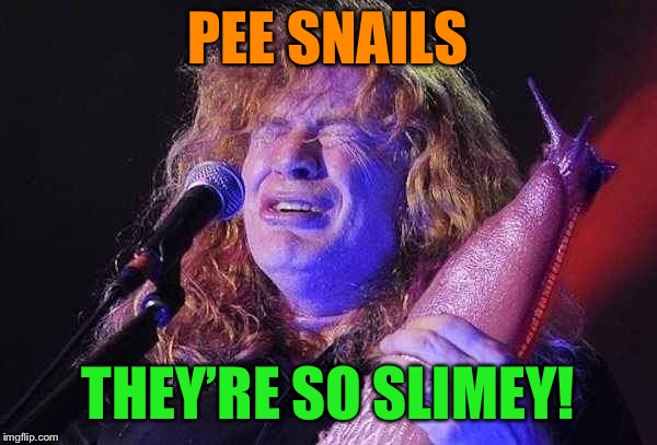 Pee Snails- No One’s Buying | PEE SNAILS; THEY’RE SO SLIMEY! | image tagged in megadeth,snail,memes | made w/ Imgflip meme maker