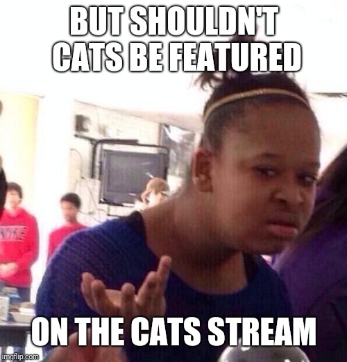 Black Girl Wat Meme | BUT SHOULDN'T CATS BE FEATURED ON THE CATS STREAM | image tagged in memes,black girl wat | made w/ Imgflip meme maker