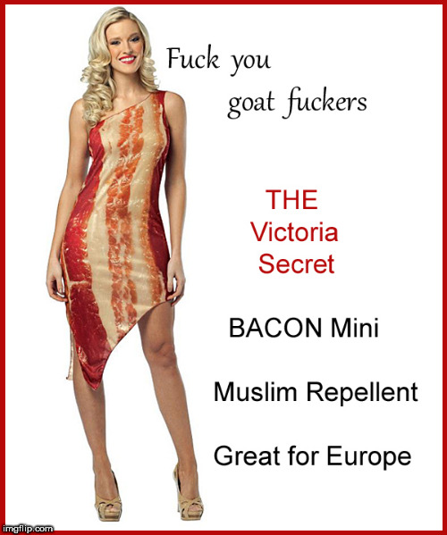 Victoria Secret Mini-  | image tagged in victoria secret,angry muslim,politics lol,lol so funny,babes,no muslim refugees | made w/ Imgflip meme maker
