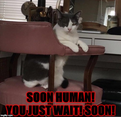 YOU JUST WAIT! SOON! SOON HUMAN! | image tagged in soon | made w/ Imgflip meme maker