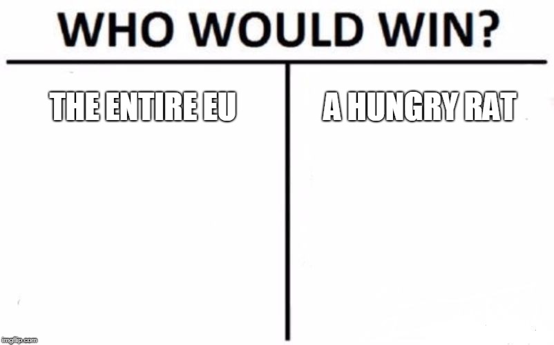 Who Would Win? Meme | THE ENTIRE EU; A HUNGRY RAT | image tagged in memes,who would win | made w/ Imgflip meme maker