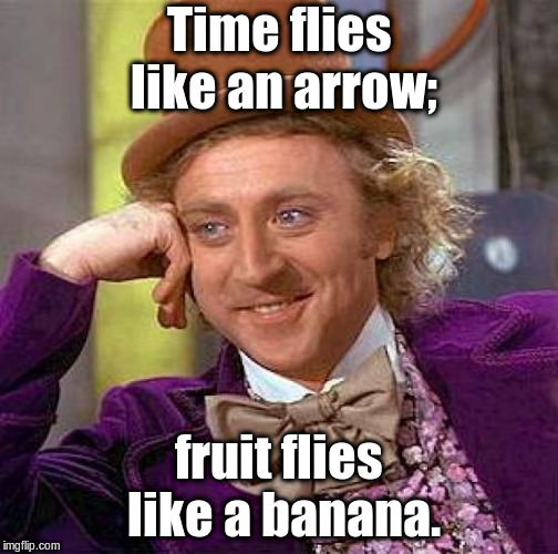 Creepy Condescending Wonka Meme | Time flies like an arrow; fruit flies like a banana. | image tagged in memes,creepy condescending wonka | made w/ Imgflip meme maker