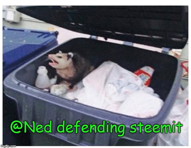 @Ned defending steemit | made w/ Imgflip meme maker