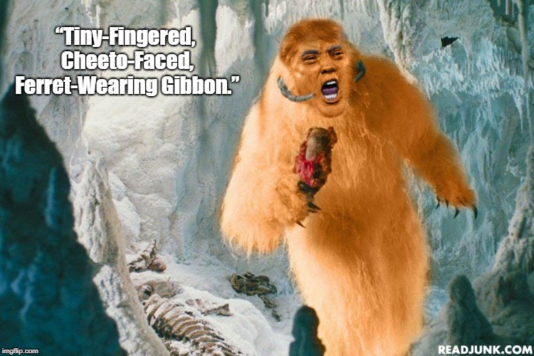 â€œTiny-Fingered, Cheeto-Faced, Ferret-Wearing Gibbon.â€ | made w/ Imgflip meme maker