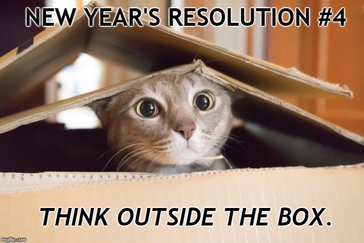 New Year's Resolution Pet |  NEW YEAR'S RESOLUTION #4; THINK OUTSIDE THE BOX. | image tagged in cats,new years,new year resolutions,pets | made w/ Imgflip meme maker