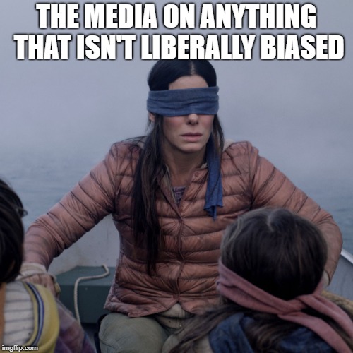 Bird Box | THE MEDIA ON ANYTHING THAT ISN'T LIBERALLY BIASED | image tagged in bird box | made w/ Imgflip meme maker