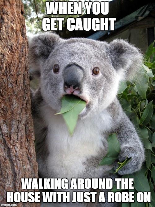 Surprised Koala | WHEN YOU GET CAUGHT; WALKING AROUND THE HOUSE WITH JUST A ROBE ON | image tagged in memes,surprised koala | made w/ Imgflip meme maker