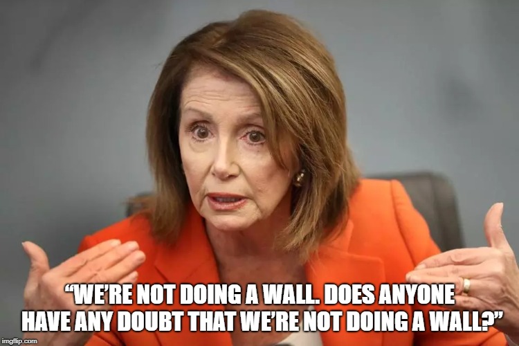 “WE’RE NOT DOING A WALL. DOES ANYONE HAVE ANY DOUBT THAT WE’RE NOT DOING A WALL?” | image tagged in wall,trump wall,nancy pelosi | made w/ Imgflip meme maker