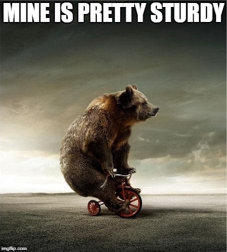 bear bicycle | MINE IS PRETTY STURDY | image tagged in bear bicycle | made w/ Imgflip meme maker