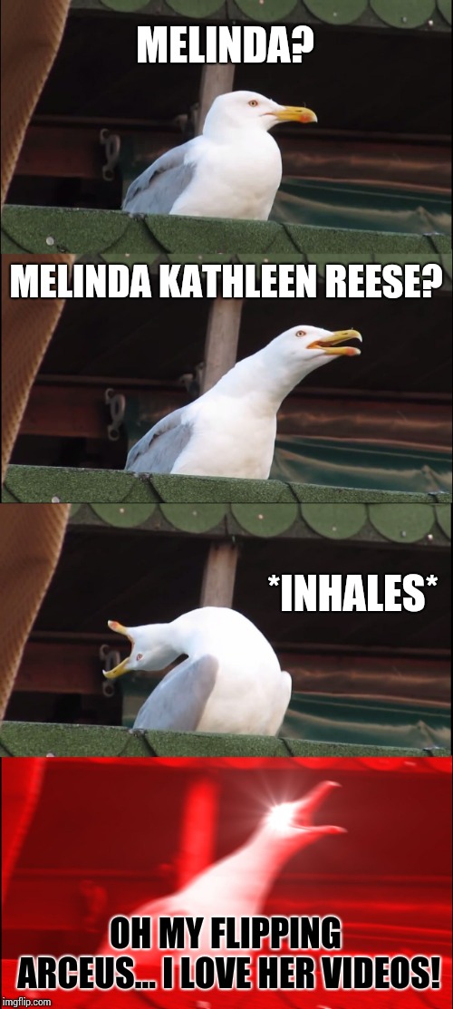 Inhaling Seagull Meme | MELINDA? MELINDA KATHLEEN REESE? *INHALES* OH MY FLIPPING ARCEUS... I LOVE HER VIDEOS! | image tagged in memes,inhaling seagull | made w/ Imgflip meme maker