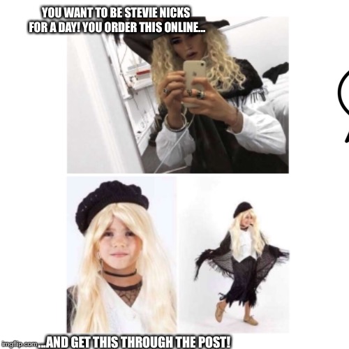 YOU WANT TO BE STEVIE NICKS FOR A DAY! YOU ORDER THIS ONLINE... ...AND GET THIS THROUGH THE POST! | image tagged in drag queen,drag,halloween,witch,supreme,ahs | made w/ Imgflip meme maker
