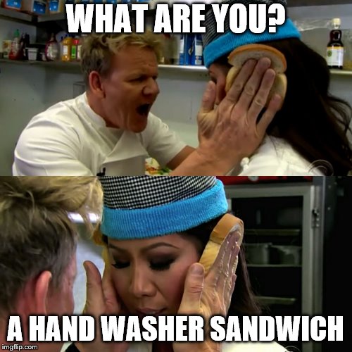 Gordon Ramsay Idiot Sandwich | WHAT ARE YOU? A HAND WASHER SANDWICH | image tagged in gordon ramsay idiot sandwich | made w/ Imgflip meme maker