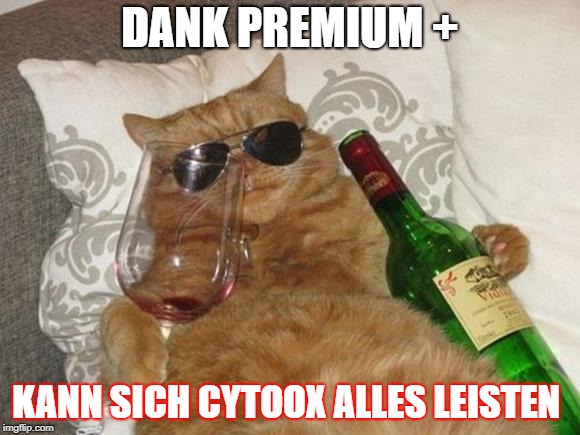 Funny Cat Birthday | DANK PREMIUM +; KANN SICH CYTOOX ALLES LEISTEN | image tagged in funny cat birthday | made w/ Imgflip meme maker
