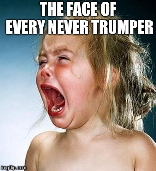 Image result for nevertrumper meme