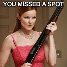 wife with a shotgun | YOU MISSED A SPOT | image tagged in wife with a shotgun | made w/ Imgflip meme maker