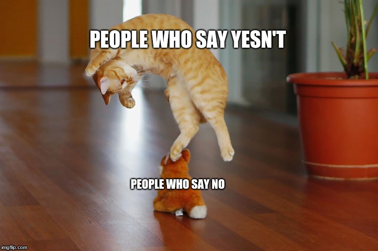 PEOPLE WHO SAY YESN'T; PEOPLE WHO SAY NO | image tagged in memes,funny cats,yesn't | made w/ Imgflip meme maker