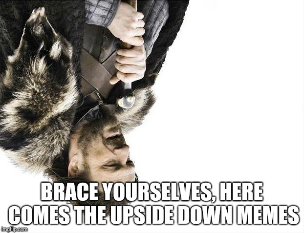 Brace Yourselves X is Coming | BRACE YOURSELVES, HERE COMES THE UPSIDE DOWN MEMES | image tagged in memes,brace yourselves x is coming | made w/ Imgflip meme maker