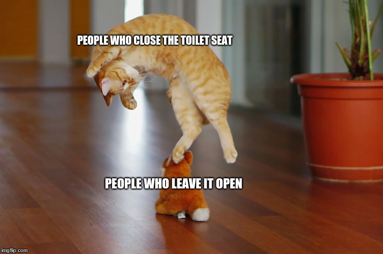 PEOPLE WHO CLOSE THE TOILET SEAT; PEOPLE WHO LEAVE IT OPEN | image tagged in funny cats,memes,toilet humor | made w/ Imgflip meme maker