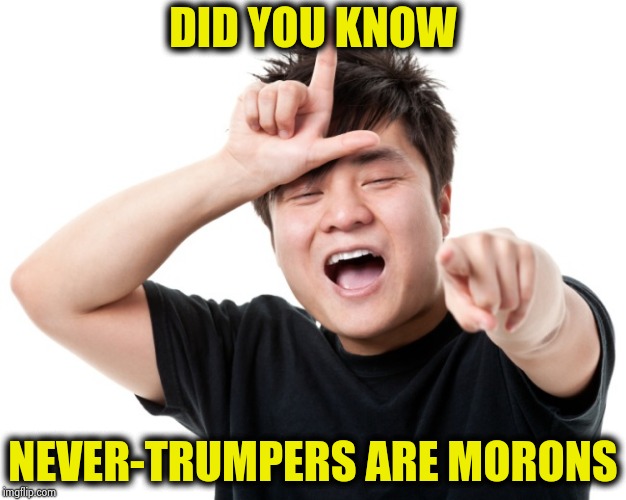 You're a loser | DID YOU KNOW NEVER-TRUMPERS ARE MORONS | image tagged in you're a loser | made w/ Imgflip meme maker