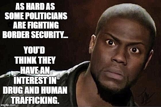 Kevin Hart | YOU'D THINK THEY HAVE AN INTEREST IN DRUG AND HUMAN TRAFFICKING. AS HARD AS SOME POLITICIANS ARE FIGHTING BORDER SECURITY... | image tagged in memes,kevin hart,secure the border,politicians,war on drugs,random | made w/ Imgflip meme maker