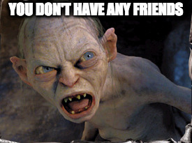 Gollum lord of the rings | YOU DON'T HAVE ANY FRIENDS | image tagged in gollum lord of the rings | made w/ Imgflip meme maker