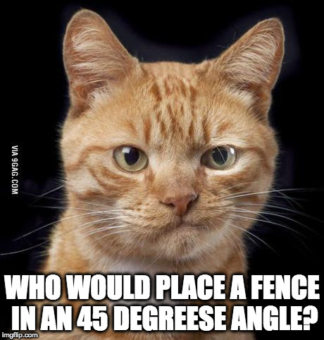 Doubting Cat | WHO WOULD PLACE A FENCE IN AN 45 DEGREESE ANGLE? | image tagged in doubting cat | made w/ Imgflip meme maker