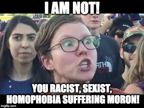 Angry sjw | I AM NOT! YOU RACIST, SEXIST, HOMOPHOBIA SUFFERING MORON! | image tagged in angry sjw | made w/ Imgflip meme maker