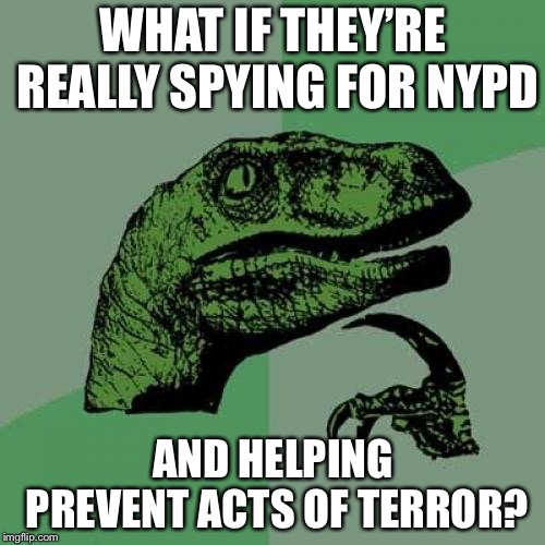 Philosoraptor Meme | WHAT IF THEY’RE REALLY SPYING FOR NYPD AND HELPING PREVENT ACTS OF TERROR? | image tagged in memes,philosoraptor | made w/ Imgflip meme maker