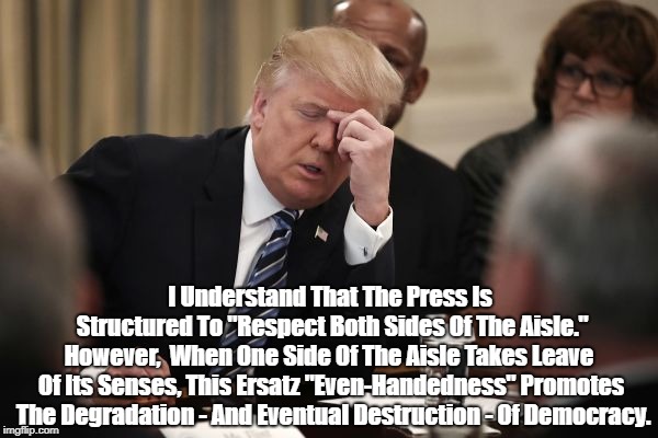 I Understand That The Press Is Structured To "Respect Both Sides Of The Aisle." However,  When One Side Of The Aisle Takes Leave Of Its Sens | made w/ Imgflip meme maker