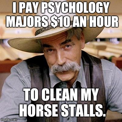 SARCASM COWBOY | I PAY PSYCHOLOGY MAJORS $10 AN HOUR TO CLEAN MY HORSE STALLS. | image tagged in sarcasm cowboy | made w/ Imgflip meme maker