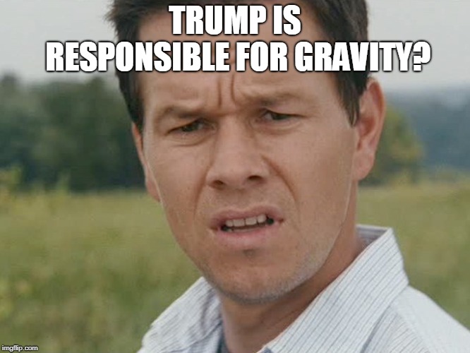 Huh  | TRUMP IS RESPONSIBLE FOR GRAVITY? | image tagged in huh | made w/ Imgflip meme maker