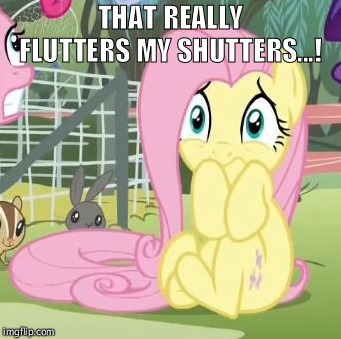 Eeep!  | THAT REALLY FLUTTERS MY SHUTTERS...! | image tagged in fluttershy,mlp meme | made w/ Imgflip meme maker