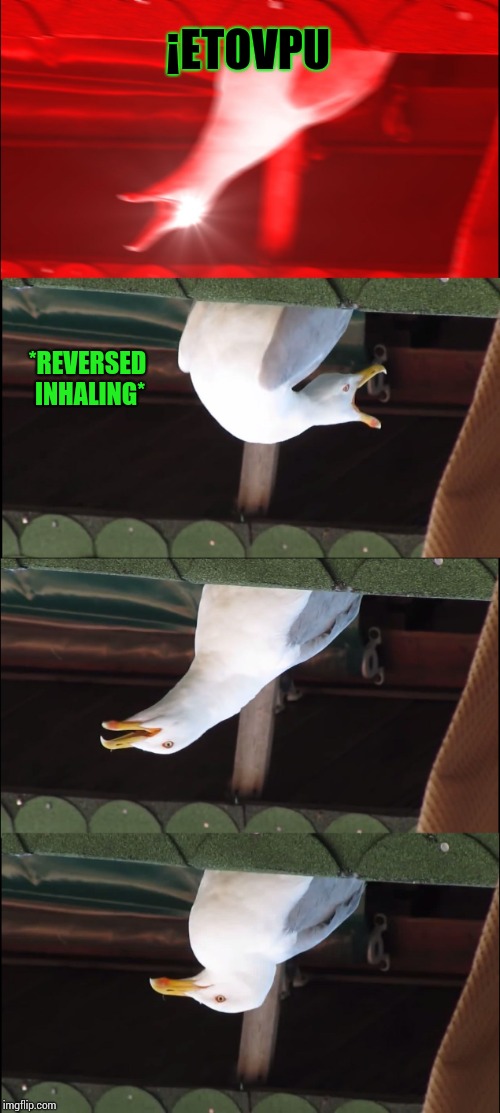 Inhaling Seagull Meme | ¡ETOVPU *REVERSED INHALING* | image tagged in memes,inhaling seagull | made w/ Imgflip meme maker