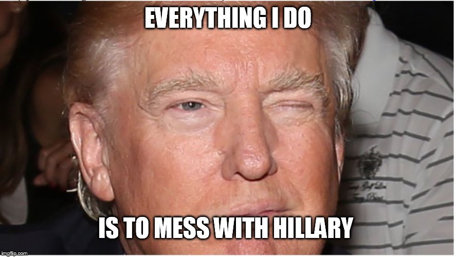 Trump Wink | EVERYTHING I DO IS TO MESS WITH HILLARY | image tagged in trump wink | made w/ Imgflip meme maker
