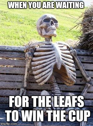 The truth | WHEN YOU ARE WAITING; FOR THE LEAFS TO WIN THE CUP | image tagged in memes,waiting skeleton | made w/ Imgflip meme maker