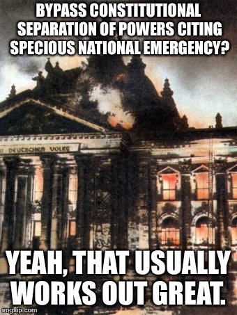 Burning Down the House (and Senate) | BYPASS CONSTITUTIONAL SEPARATION OF POWERS CITING SPECIOUS NATIONAL EMERGENCY? YEAH, THAT USUALLY WORKS OUT GREAT. | image tagged in urgent urgent emergency,donald trump,us constitution,hitler,con man | made w/ Imgflip meme maker