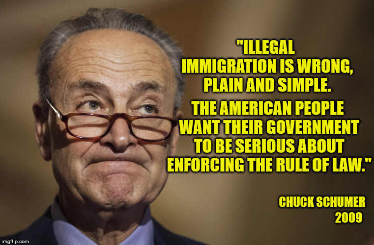 Before Trump Drove the Dems Insane! | "ILLEGAL IMMIGRATION IS WRONG, PLAIN AND SIMPLE. THE AMERICAN PEOPLE WANT THEIR GOVERNMENT TO BE SERIOUS ABOUT ENFORCING THE RULE OF LAW."; CHUCK SCHUMER; 2009 | image tagged in chuck,immigration,border wall,democrats,maga | made w/ Imgflip meme maker