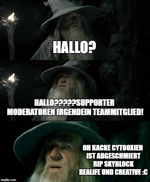 Confused Gandalf Meme | HALLO? HALLO?????SUPPORTER MODERATOREN IRGENDEIN TEAMMITGLIED! OH KACKE CYTOOXIEN IST ABGESCHMIERT RIP SKYBLOCK REALIFE UND CREATIVE :C | image tagged in memes,confused gandalf | made w/ Imgflip meme maker