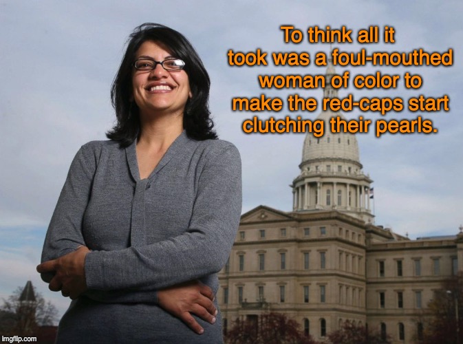 Rashida Tlaib | To think all it took was a foul-mouthed woman of color to make the red-caps start clutching their pearls. | image tagged in congress,donald trump | made w/ Imgflip meme maker