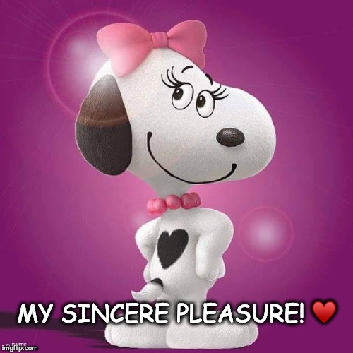 MY SINCERE PLEASURE! ♥️ | image tagged in my sincere pleasure | made w/ Imgflip meme maker
