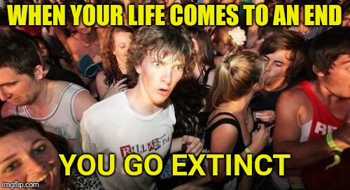 Everyone is an endangered species | WHEN YOUR LIFE COMES TO AN END; YOU GO EXTINCT | image tagged in memes,sudden clarity clarence,death,extinction | made w/ Imgflip meme maker